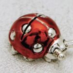 Coccinella Segnaposto