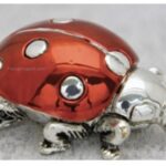 Coccinella Con Zampe